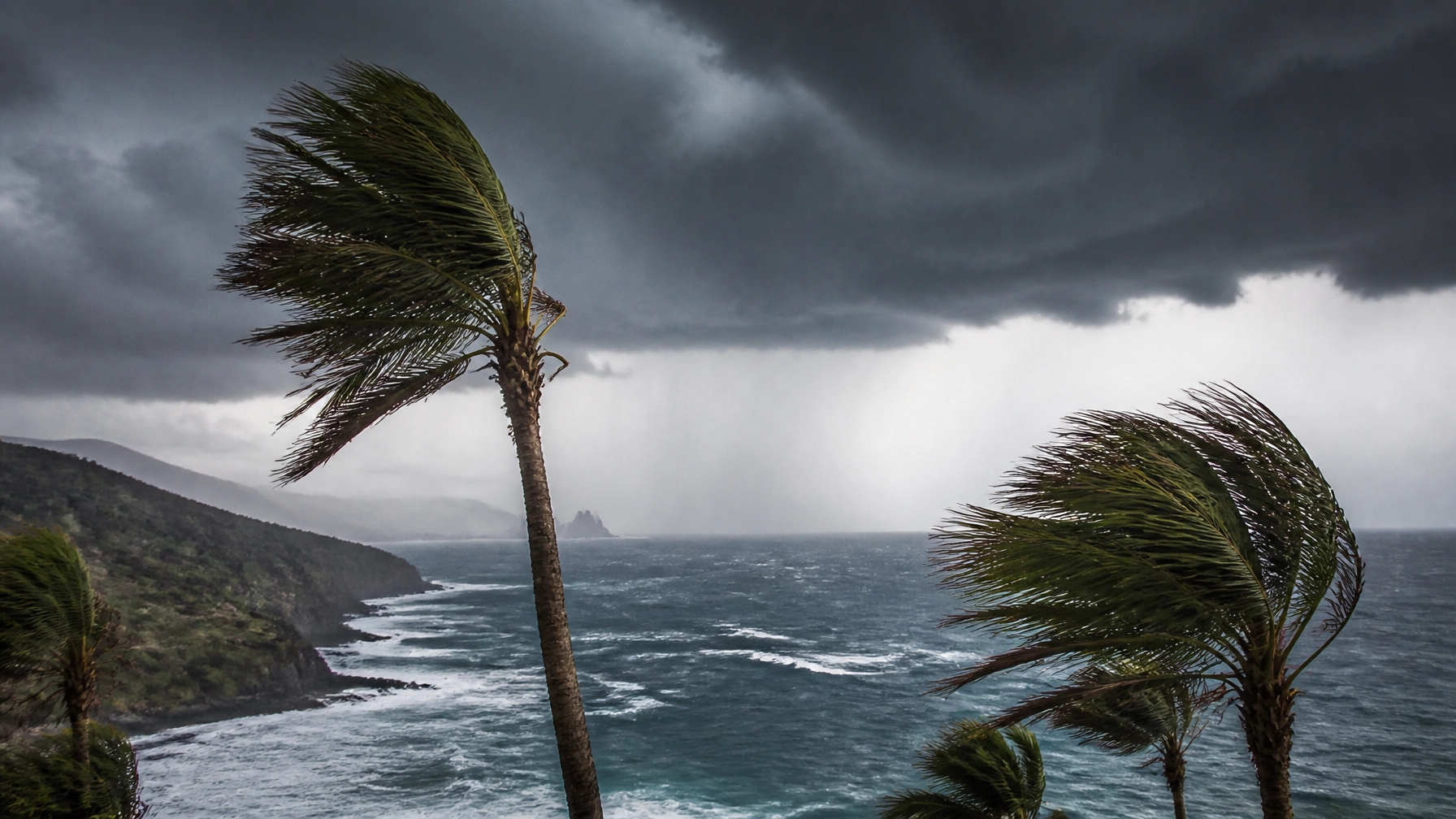 Palmbomen gebogen door sterke winden tijdens Storm Therese op de Canarische Eilanden