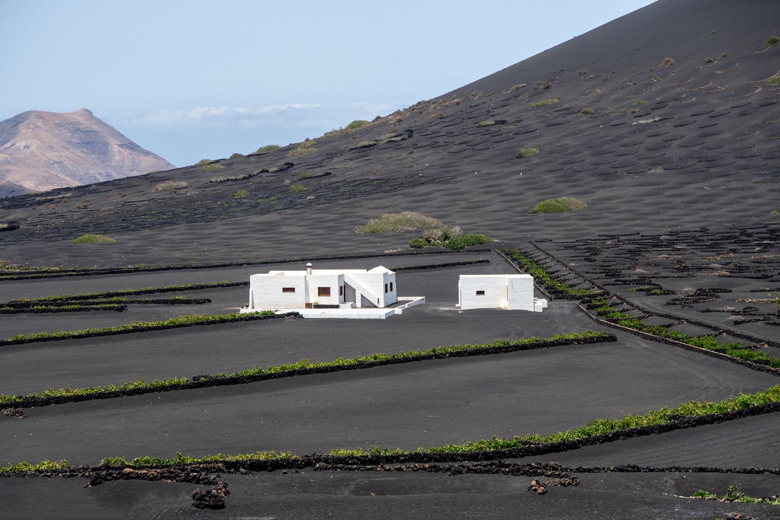 A whitewashed house among the volcanic vineyards of La Geria, Lanzarote